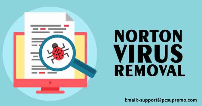 Norton Virus Removal